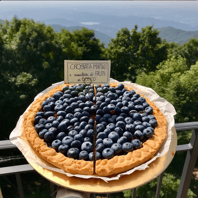 colomba classica artigianale