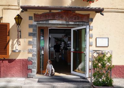 BaitaBondella ComoBrunate ingressocane scaled 1
